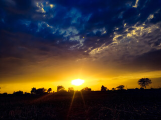 Wall Mural - sunset over the field