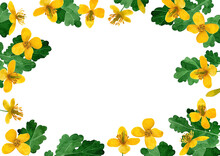 Watercolor Frame With Yellow Wildflowers And Leaves On A White Background. For Greeting Card, Invitation, Background, Design. Hand Drawn Illustration.