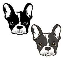 Cute Dog Muzzle Of Frenchie Buldog With Bunny Ears In Black & White Colors.