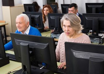 Wall Mural - People of different age studying in computer class