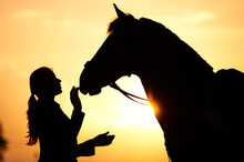 A Horse Rider Girl Stroking The Head Of A Horse In The Rays Of The Setting Sun. Silhouette Of A Girl And A Horse