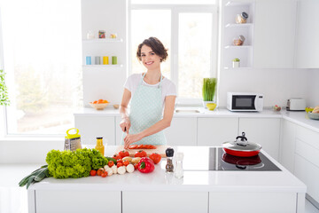 Wall Mural - Photo of housewife attractive chef lady arms holding tomato cutting knife slices enjoy morning cooking tasty dinner family meeting wear apron t-shirt stand modern kitchen indoors