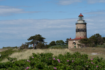 Wall Mural - Lighthouse in Falsterbo, Sweden, built 1795. Birds flying in the sky, foreground blurred. Selective focus.