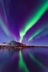 lofoten aurora