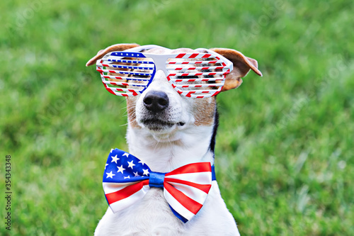 Portrait of proud dog in stars and stripes sunglasses with American flag bow tie on green background. Celebration of Independence day, 4th July, Memorial Day, American Flag Day, Labor day party event
