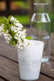 Fototapeta Nowy Jork - cherry branch with white flowers and green leaves in a white glass glass on a brown wooden table outside in the garden. clear glass water bottle in the background