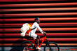 © VISTA by Westend61 - Bicycle courier delivering a teddy bear passing a red wall