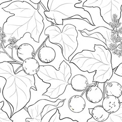 kukui branches vector pattern on white background