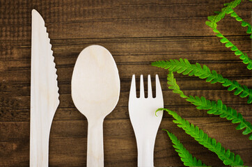 eco friendly disposable kitchen utensils on a wooden background, near a green fern plant. wooden fork, spoon and knife. Ecology, zero waste concept. Top view. Flat lay.