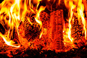 Wood and Fire from the fireplace