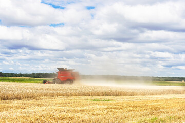 Red combine harvester is working during harvest time in the farmer’s fields, machine is cutting grain plants , agriculture concept