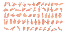 Gesturing. Set Of Hands In Different Gestures , Hand Showing Signal Or Sign Collection, On White Background Isolated Vector Illustration