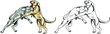 Two fighting dog pit bull in a fight. Deadly battle. Vector illustration of a angry dog