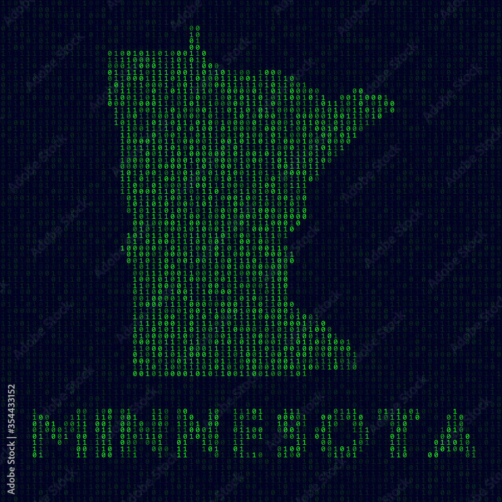 Digital Minnesota logo. US state symbol in hacker style. Binary code ...