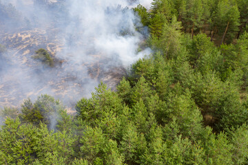 Wall Mural - Aerial drone view of a wildfire in forested area