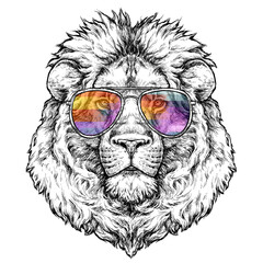 Wall Mural - Hand drawn portrait of lion in glasses. Vector illustration isolated on white