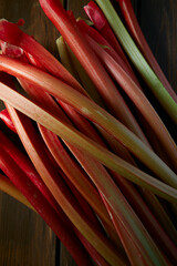 Wall Mural - fresh rhubarb stems on a dark wooden surface