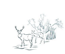 Deer Sakura Card Nature Landscape View Landscape Card Vector Sketch Illustration Japanese Chinese Oriental Line Art
