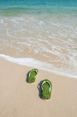 Flip flop slipper with green grass in the sand on the beach.