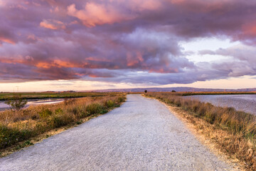 Wall Mural - Wide walking trail crossing the restored wetlands of South San Francisco Bay Area; dramatic sunset clouds covering the sky; Mountain View, California