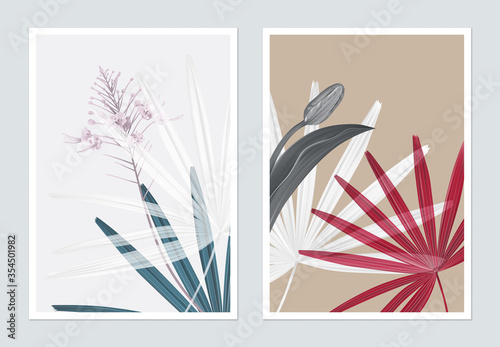 Botanical poster design, Rhapis excelsa leaves and flowers