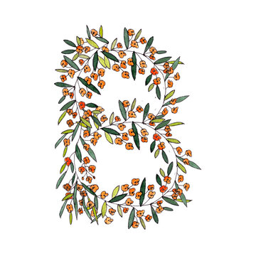 letter B of the english and latin floral alphabet. graphic on a white background. letter B of sprigs blooming with orange flowers.