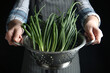 Woman holding colander with green spring onions on black background, closeup