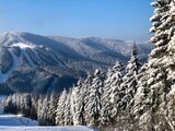 Fototapeta  - winter landscape in the mountains