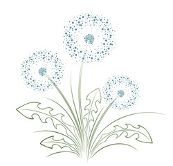 Sticker - A flower of a field dandelion with seeds.
