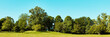 Grüner Park mit Wiese und Bäumen als Panorama Header