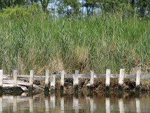 A Wooden Fence Between The Reed Bed And The Channel Between Varel Harbour And Sluice
