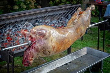 Mechoui, traditional roasted full lamb barbecue. Roasted meat over an open fire