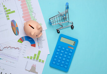 Wall Mural - Shopping concept. Piggy bank with graphs and charts, supermarket trolley, calculator on a blue background. Economic analysis, costs, statistics. Top view