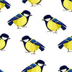 Wall Mural - Titmouse Bird pattern seamless Vector Illustration. Print design with drawn birds for textiles.