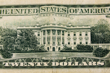 Wall Mural - Closeup of american twenty dollars banknote