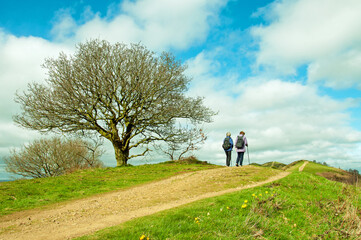 Springtime walks in the Malvern hills