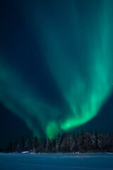 the aurora borealis dances over the trees of jollifee island in yellowknife, northwest territories, 