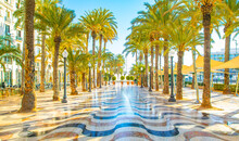 Sunny Promenade In Alicante, Spain