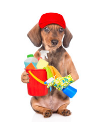 Poster - Dachshund puppy wearing rede cap holds bucket with washing fluids and spray bottle in it paws. isolated on white background. Cleaning concept