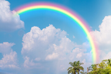 Wall Mural - Rainbow in blue sky.