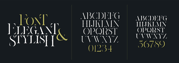 vector font illustration. stylish elegant thin vector composite font serif. set of letters english a