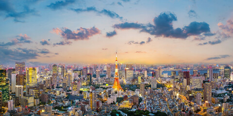 Wall Mural - Cityscape of Tokyo skyline, panorama aerial skyscrapers view of office building and downtown in Tokyo when sunset. Japan, Asia.