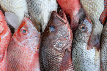 Wall Mural - Fresh sea fish for sell at the street food market in Kota Kinabalu, Borneo, Malaysia, close up seafood