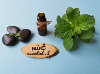 Wall Mural - Mint essential oil with fresh green mint leaf, a glass cosmetic bottle, spa massage stones, and the inscription on wooden background. Mint essential oil for aromatherapy treatment.