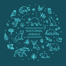 Vector. Set Of Linear Vector Nocturnal Animals