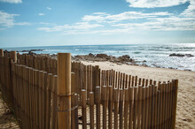 Sand Fences Along Dune By Beach  For Themes Of Land Management, Ecology And The Environment. Portugal. Europe