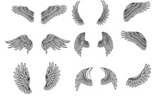 Wings Icon Set, Bird Drawing In Spread And Motion. Angel Shape Element. Vector Wings Sketch Illustration Isolated On White Background