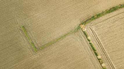 Poster - lines on a field viewed from a drone