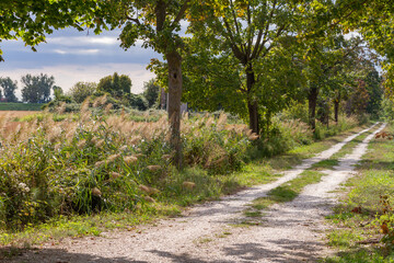 Countryside of the friuli Venezia Giulia, North Italy