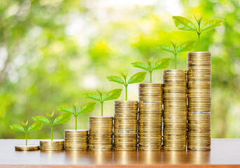 money for business investment finance and banking concept. green plant leaves growth up on row of saving coin stack on wood table with green blur nature background.